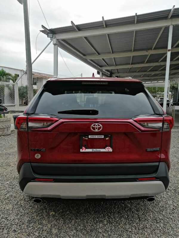 Rav4 2019 Adventure - Imagen 5